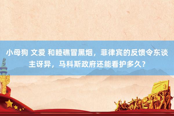 小母狗 文爱 和睦礁冒黑烟，菲律宾的反馈令东谈主讶异，马科斯政府还能看护多久？