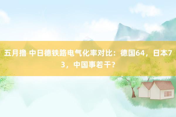 五月撸 中日德铁路电气化率对比：德国64，日本73，中国事若干？