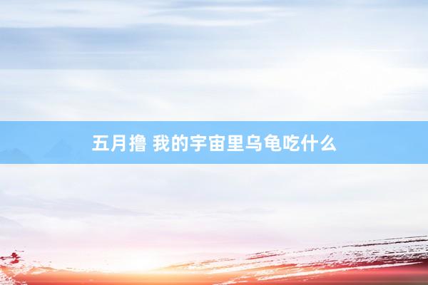 五月撸 我的宇宙里乌龟吃什么
