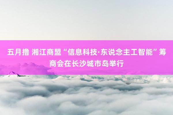五月撸 湘江商盟“信息科技·东说念主工智能”筹商会在长沙城市岛举行
