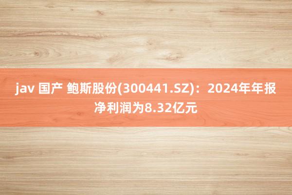jav 国产 鲍斯股份(300441.SZ)：2024年年报净利润为8.32亿元