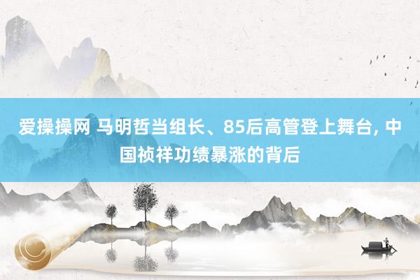 爱操操网 马明哲当组长、85后高管登上舞台， 中国祯祥功绩暴涨的背后