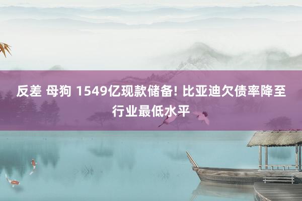 反差 母狗 1549亿现款储备! 比亚迪欠债率降至行业最低水平