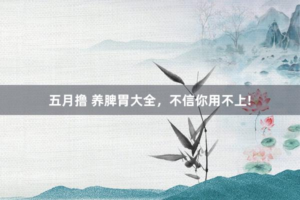 五月撸 养脾胃大全，不信你用不上!