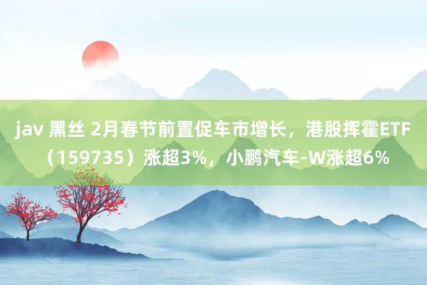 jav 黑丝 2月春节前置促车市增长，港股挥霍ETF（159735）涨超3%，小鹏汽车-W涨超6%