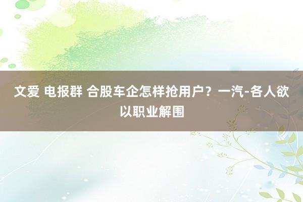 文爱 电报群 合股车企怎样抢用户？一汽-各人欲以职业解围